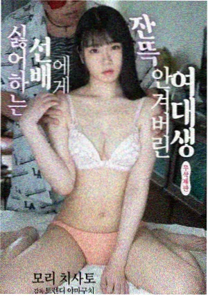 剧集山脊线条目封面